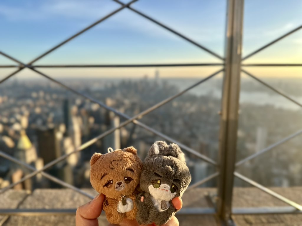 acorn-field : 도토리밭 tweet media