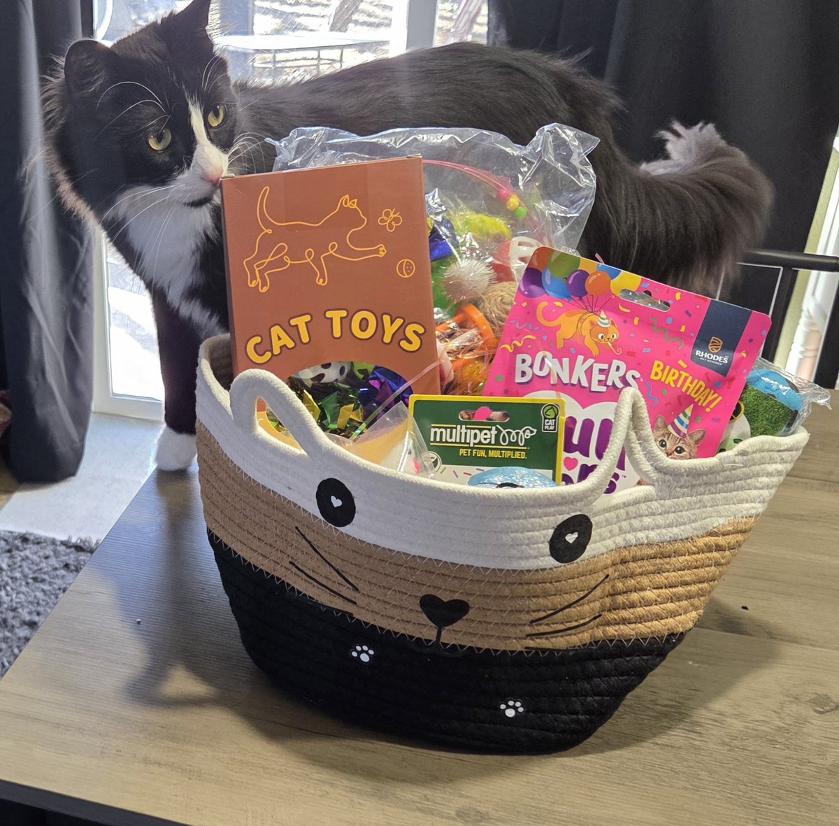 Nick Giffen tweet media