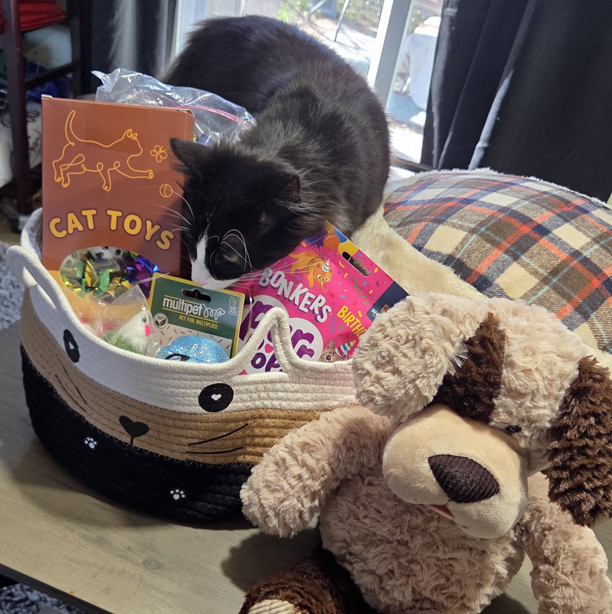 Nick Giffen tweet media