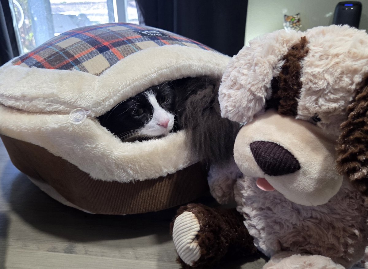 Nick Giffen tweet media