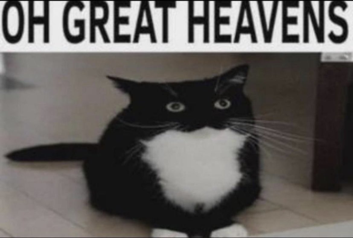 Erik🚑👁️‍🗨️🔨 tweet media