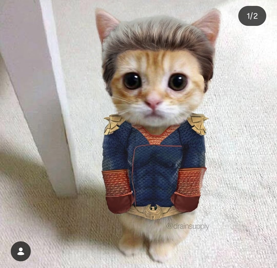 Catlander 🐈 tweet media