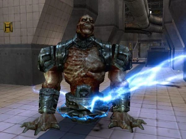 кoнтeнтшeйкep 🐍 tweet media