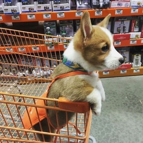 the other guy in WHAM! 🇨🇦 tweet media