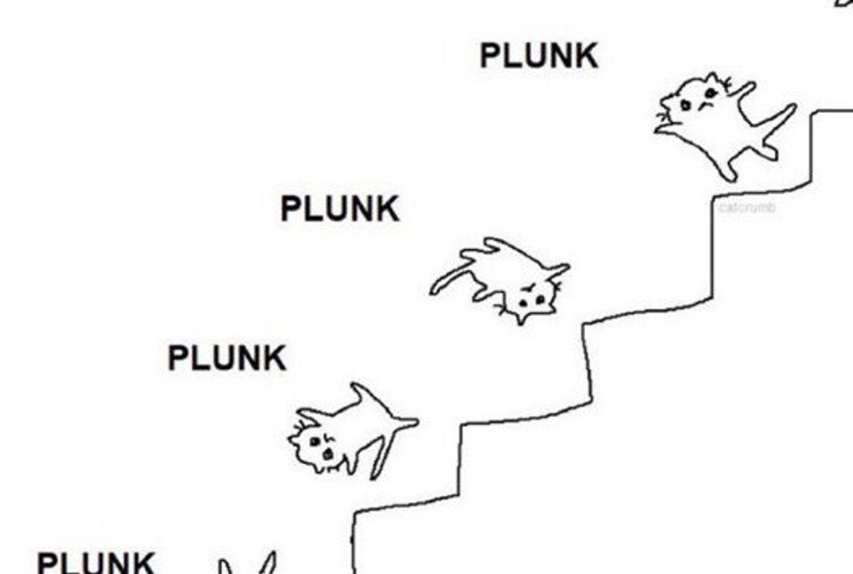 Lolo 🫧 kermit tweet media