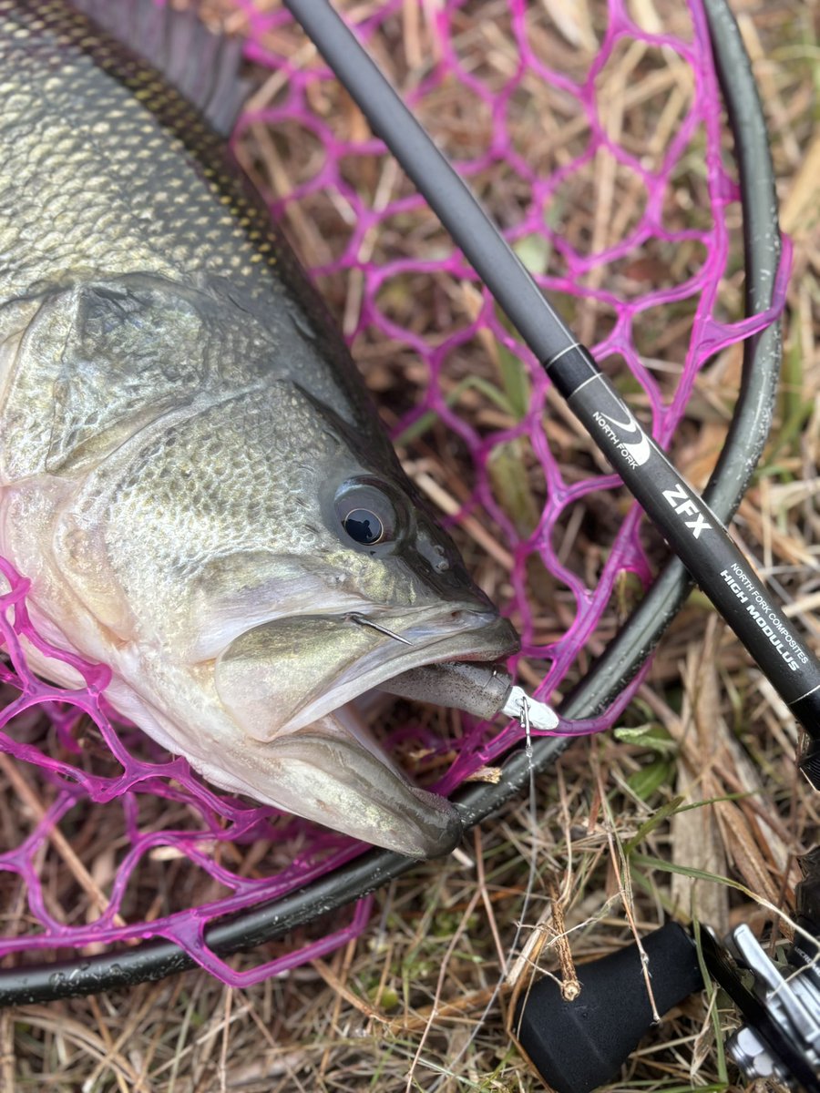 ®️ade tweet media