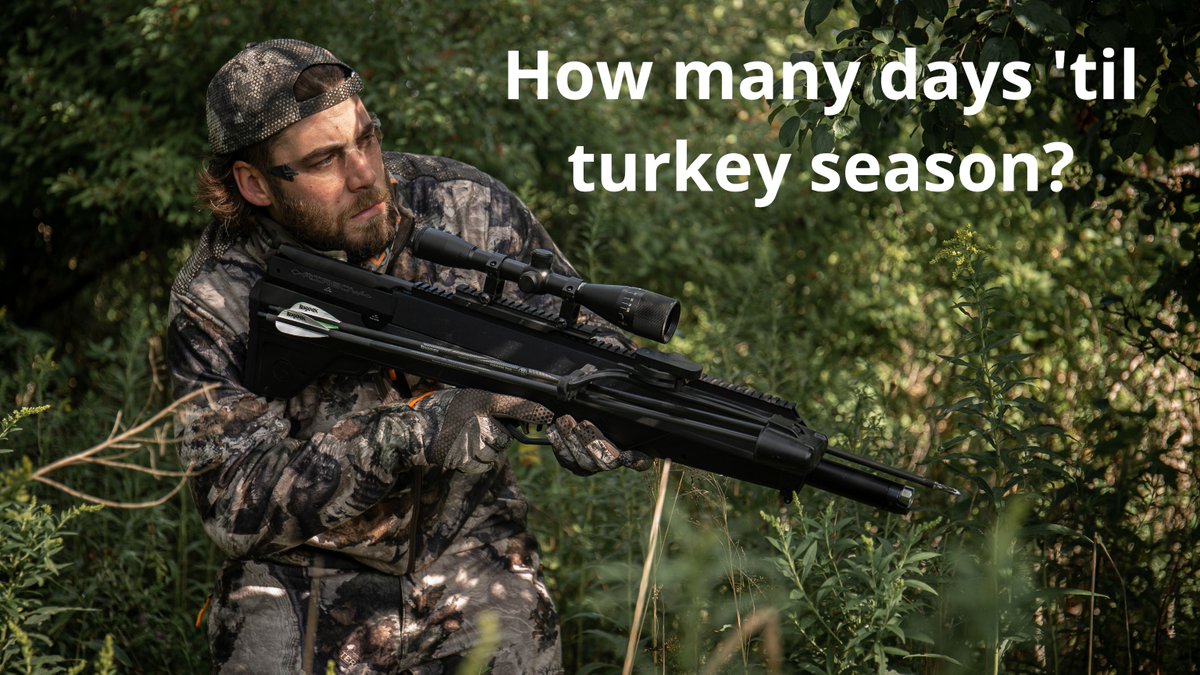 Pyramyd AIR tweet media