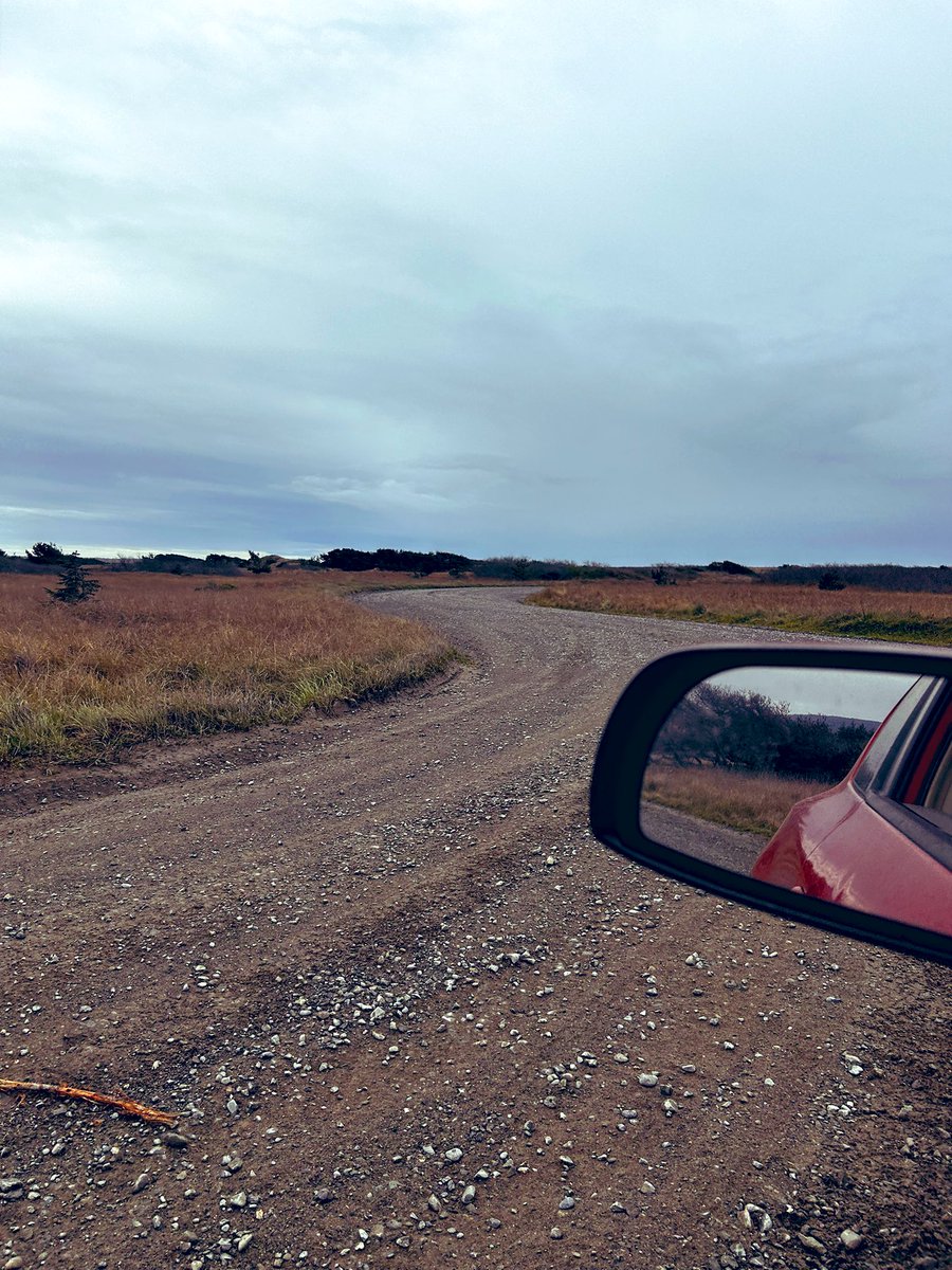 Aspen goes birding⛸️ tweet media