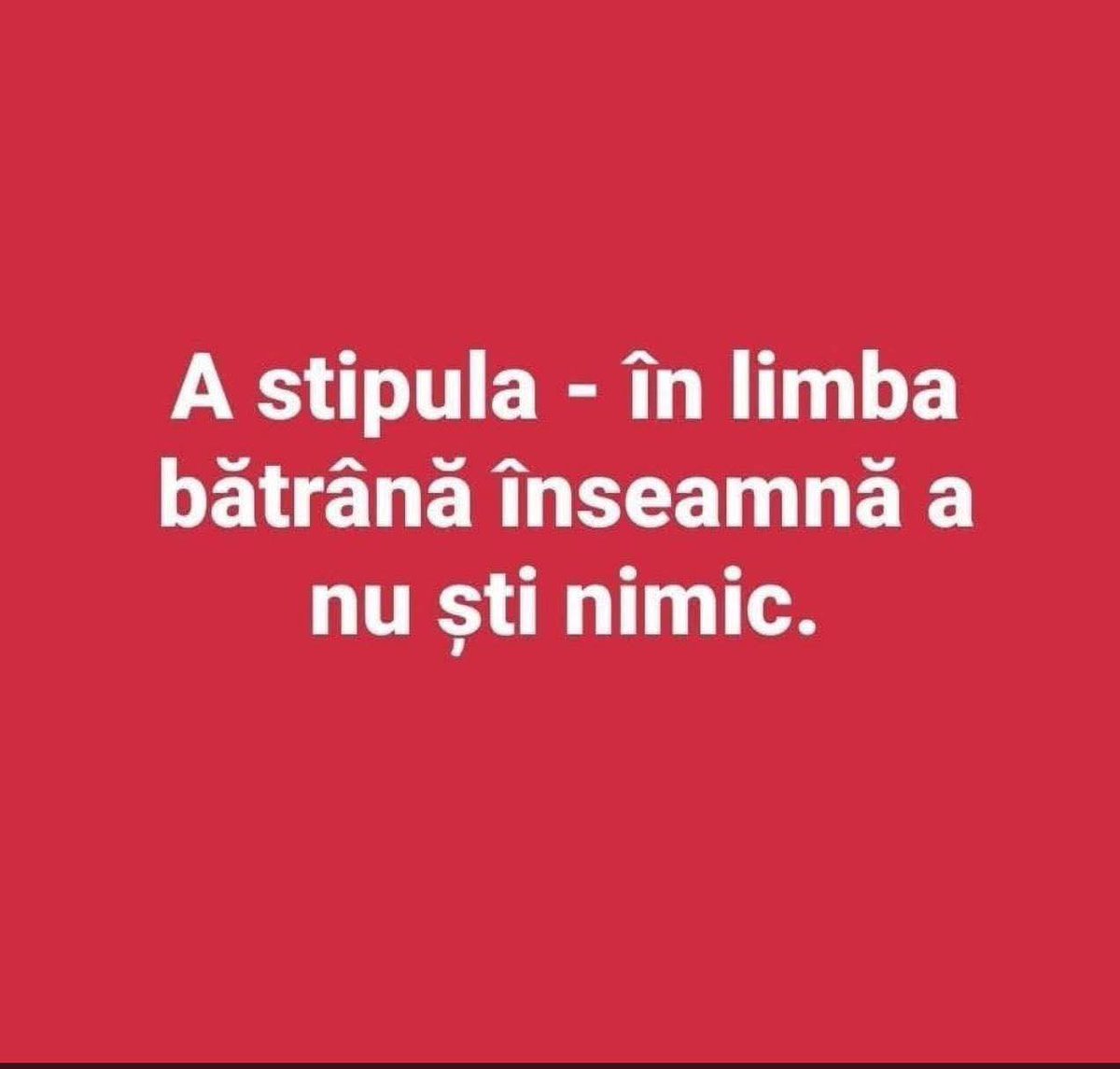 🇷🇴 doratul - little bastard 🇺🇦 tweet media