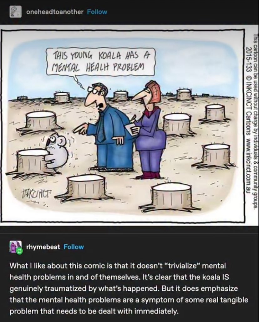 Zachary Phillips tweet media