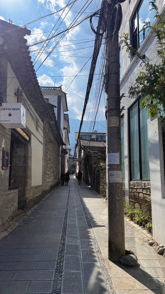 john shelton tweet media