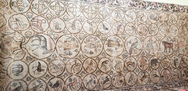 Grumpy Doctor tweet media