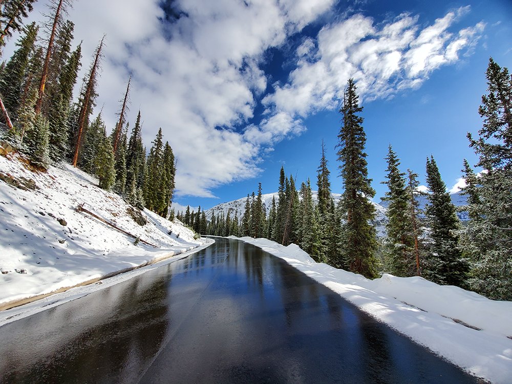 Saltwater on the Fly tweet media