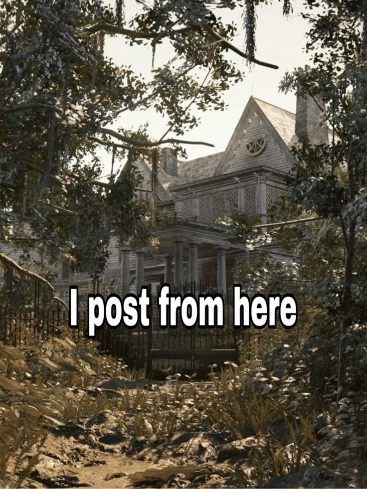 mimi! || Elf Vtuber 🎀 tweet media