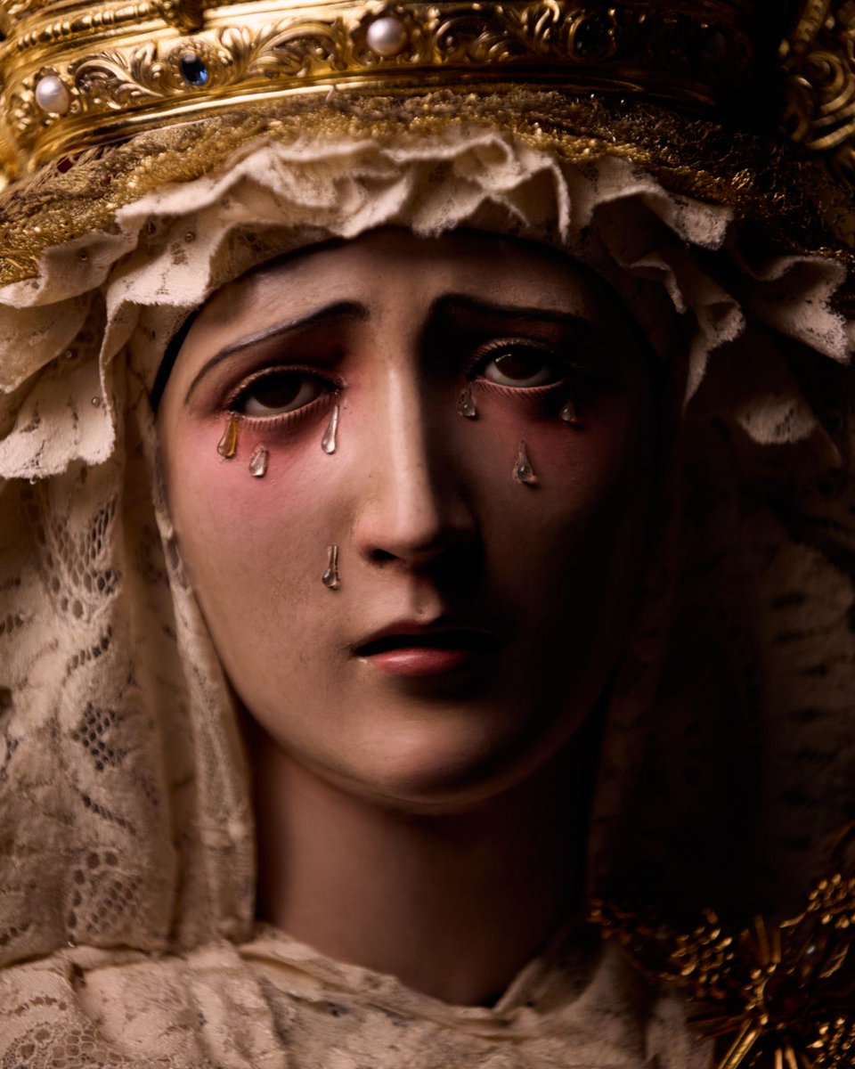 El alza cable tweet media