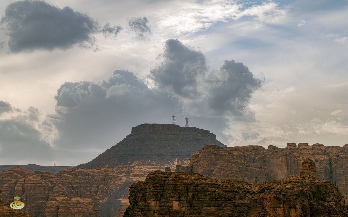 محمد بن أحمد الفريدي tweet media