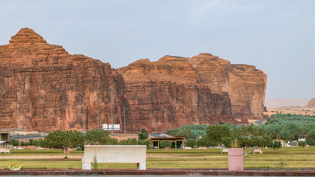 محمد بن أحمد الفريدي tweet media