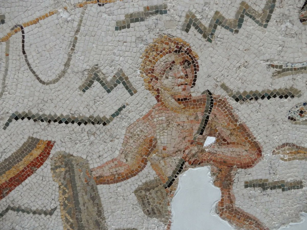 Grumpy Doctor tweet media