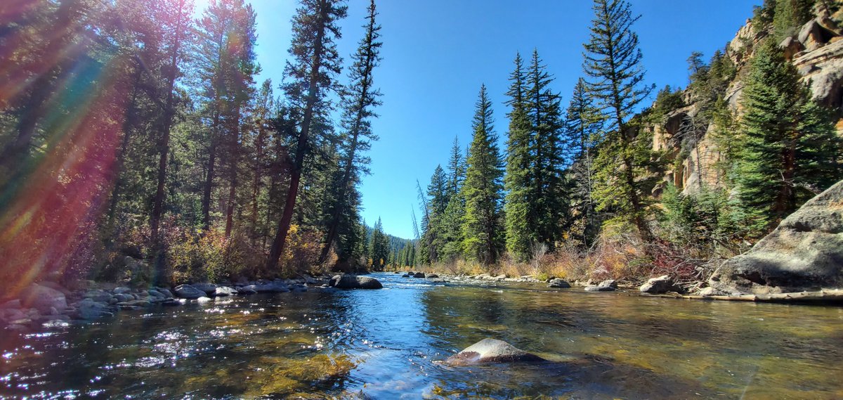 Saltwater on the Fly tweet media