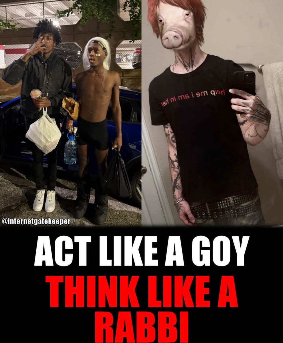 Ryan Arab tweet media