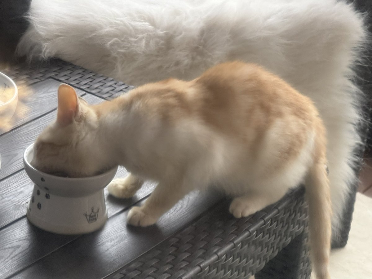 Macha_Zo tweet media