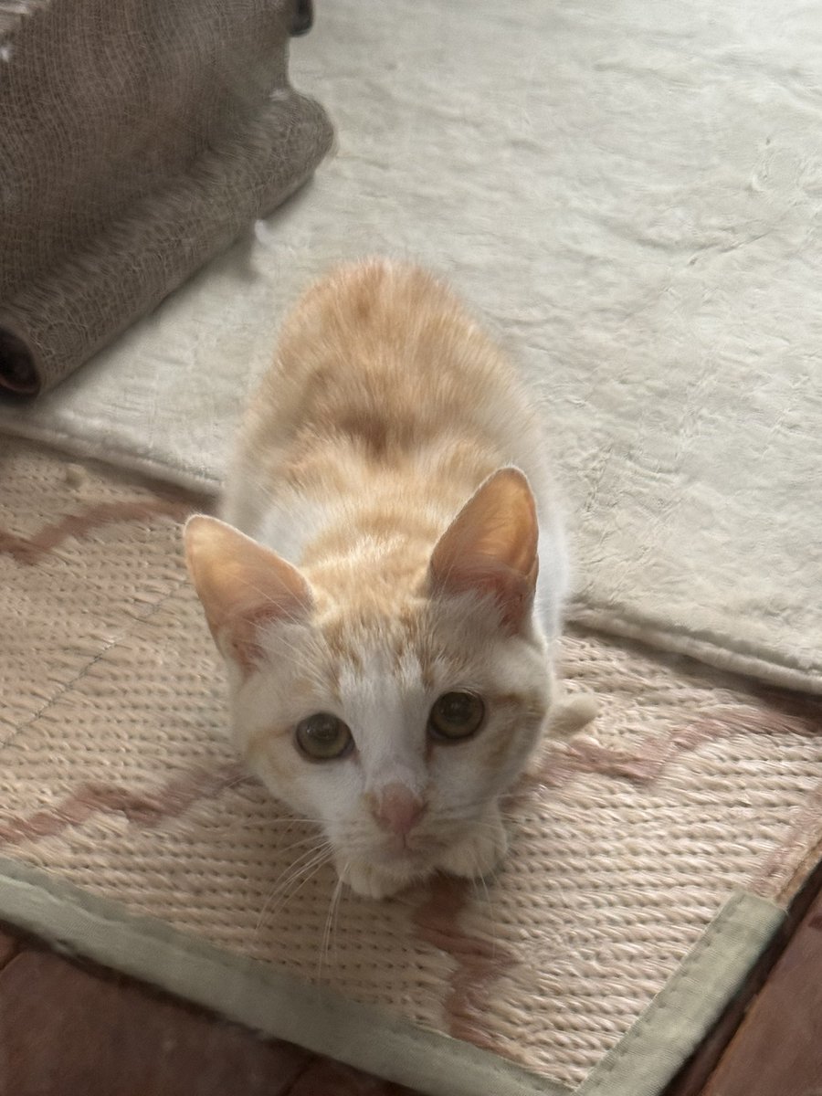 Macha_Zo tweet media