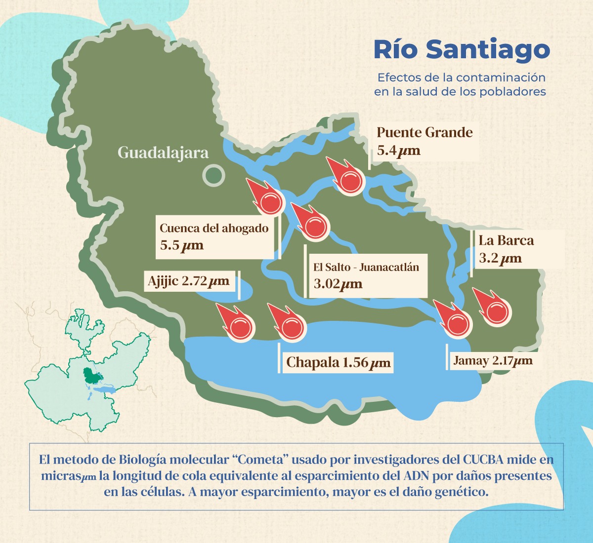 jcrtoral's tweet photo. Las muestras obtenidas de las poblaciones más cercanas al río Santiago también muestran un mayor nivel de daño genético.
Aquí un mapa elaborado por Bárbara González que muestra los resultados, dónde el número más alto representa un mayor daño detectado. https://t.co/b4T0pCUuYP
