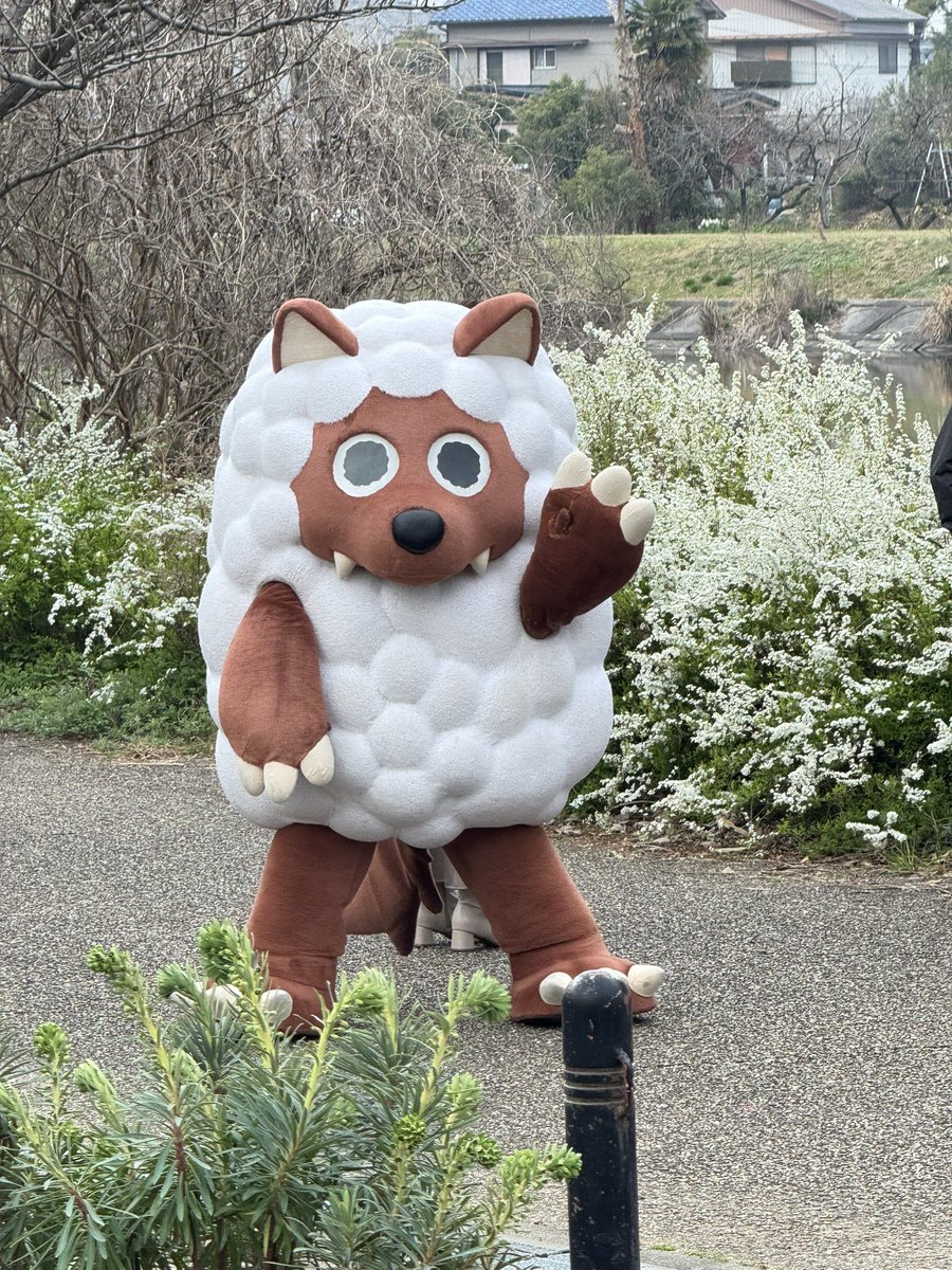 クロス tweet media