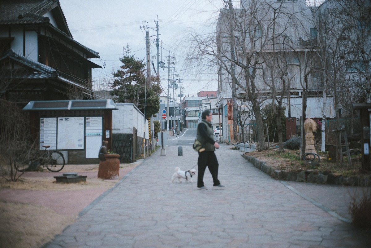 シオカワコウタロウ tweet media