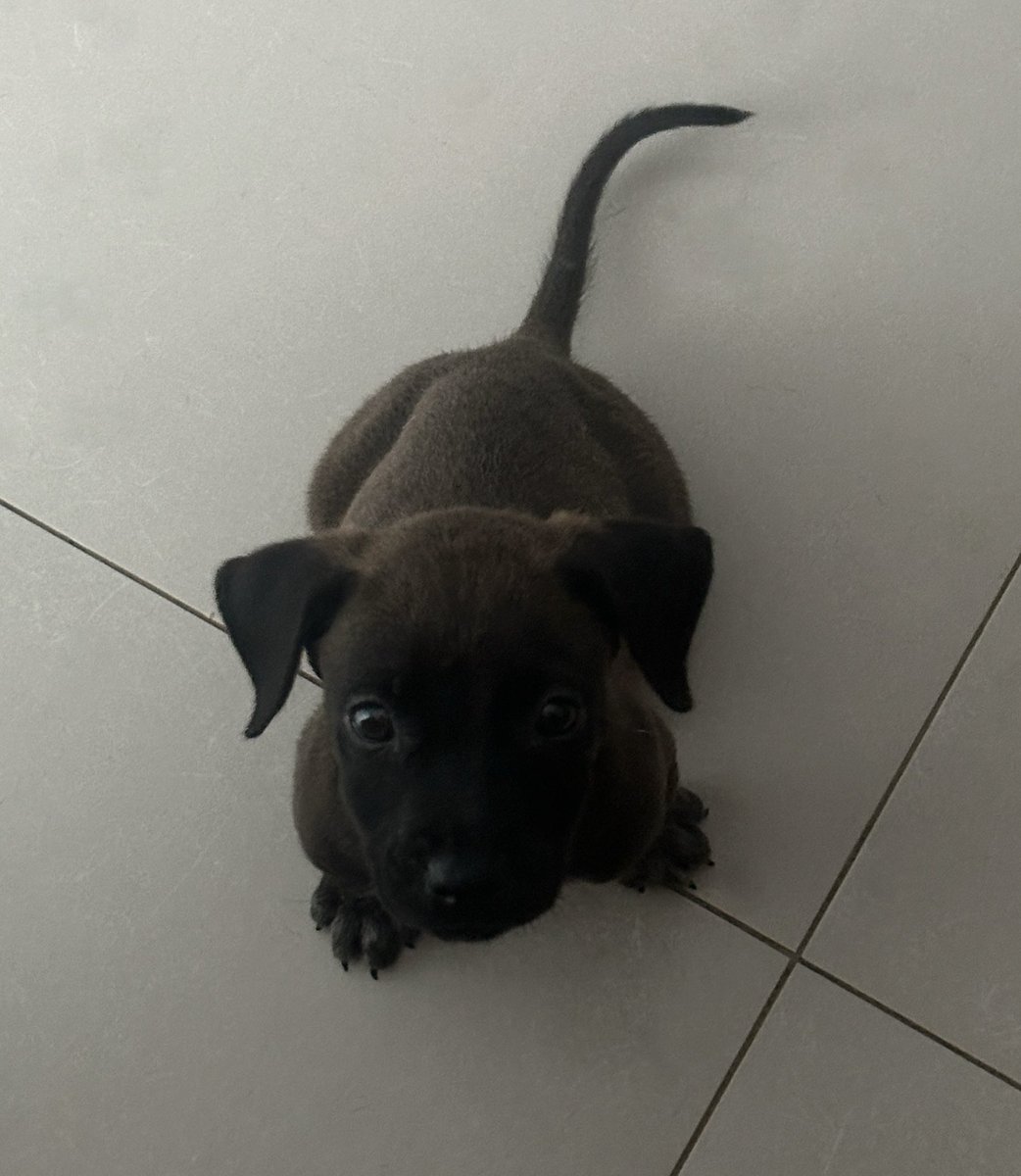 kaarolzx tweet media