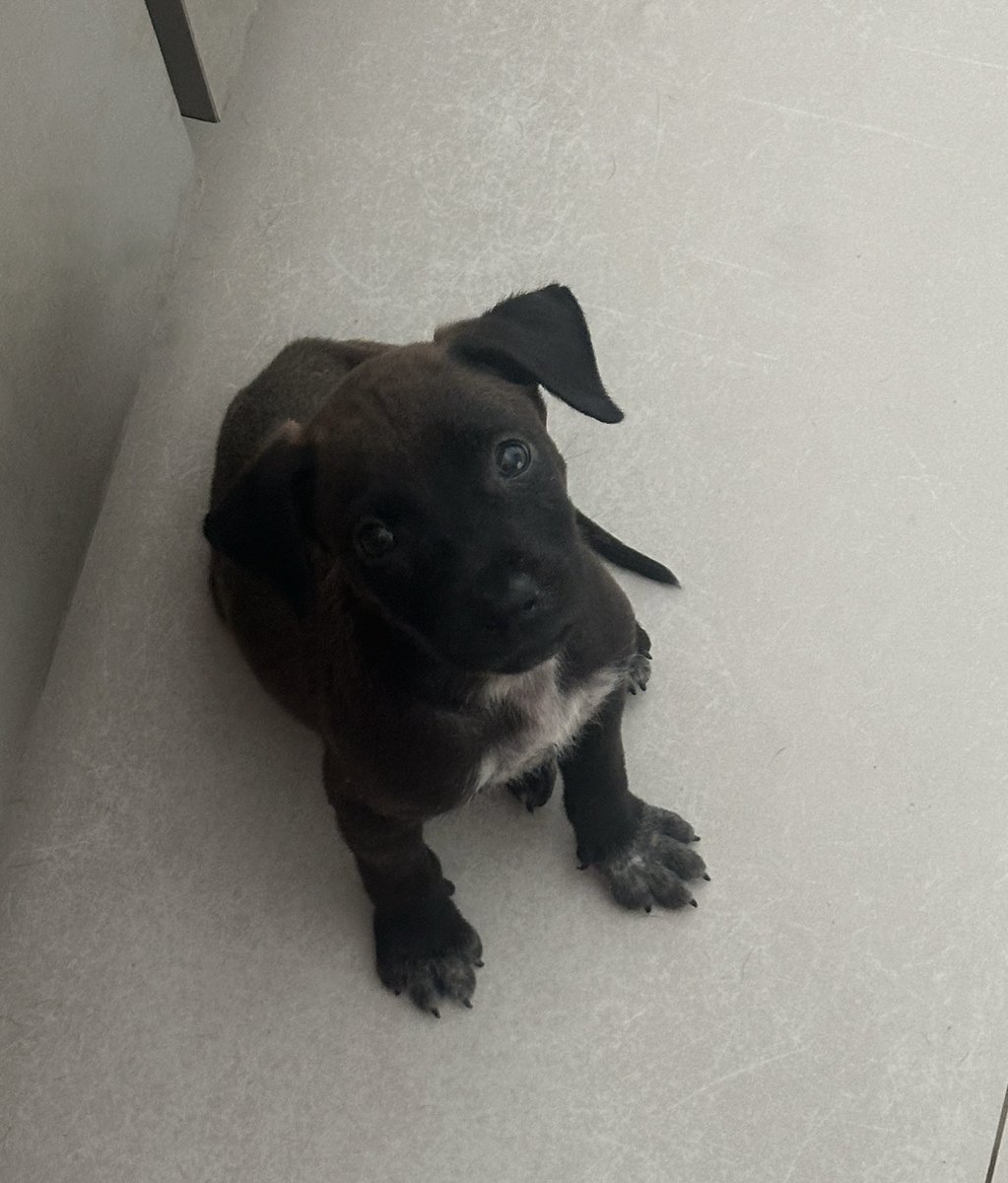 kaarolzx tweet media