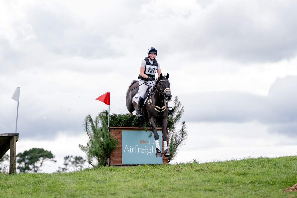 New Zealand Bloodstock tweet media