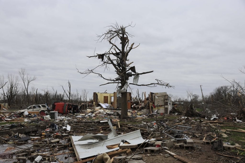 Weather History tweet media