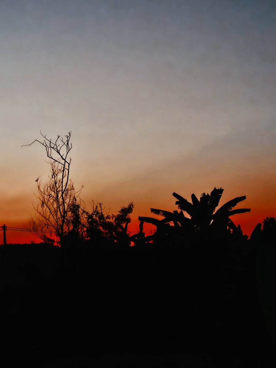 WallnutZ 03🥜🦦 tweet media