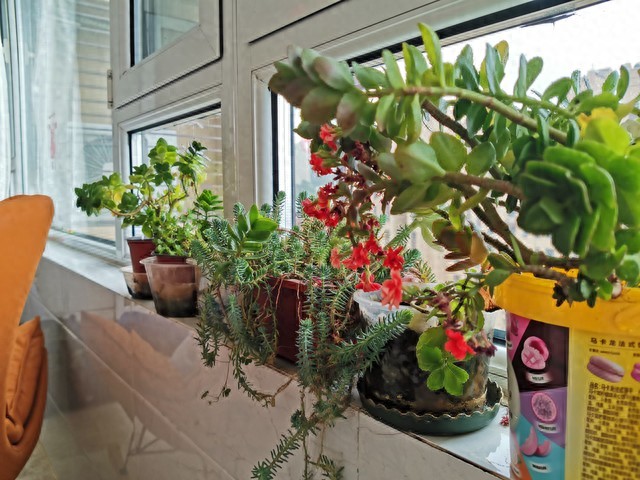 christine sanborn tweet media