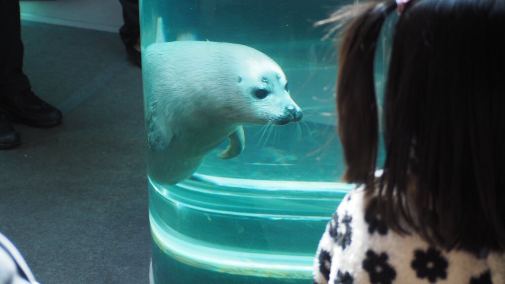 旭山動物園東門 tweet media