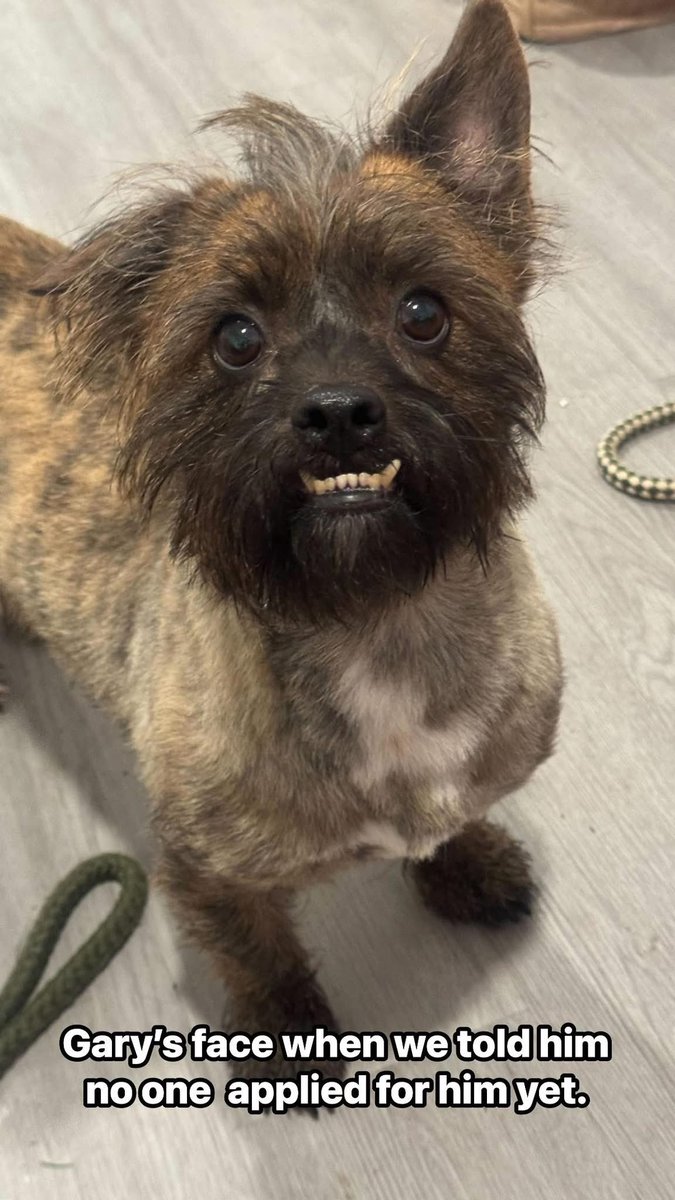 Adrienne Hall tweet media