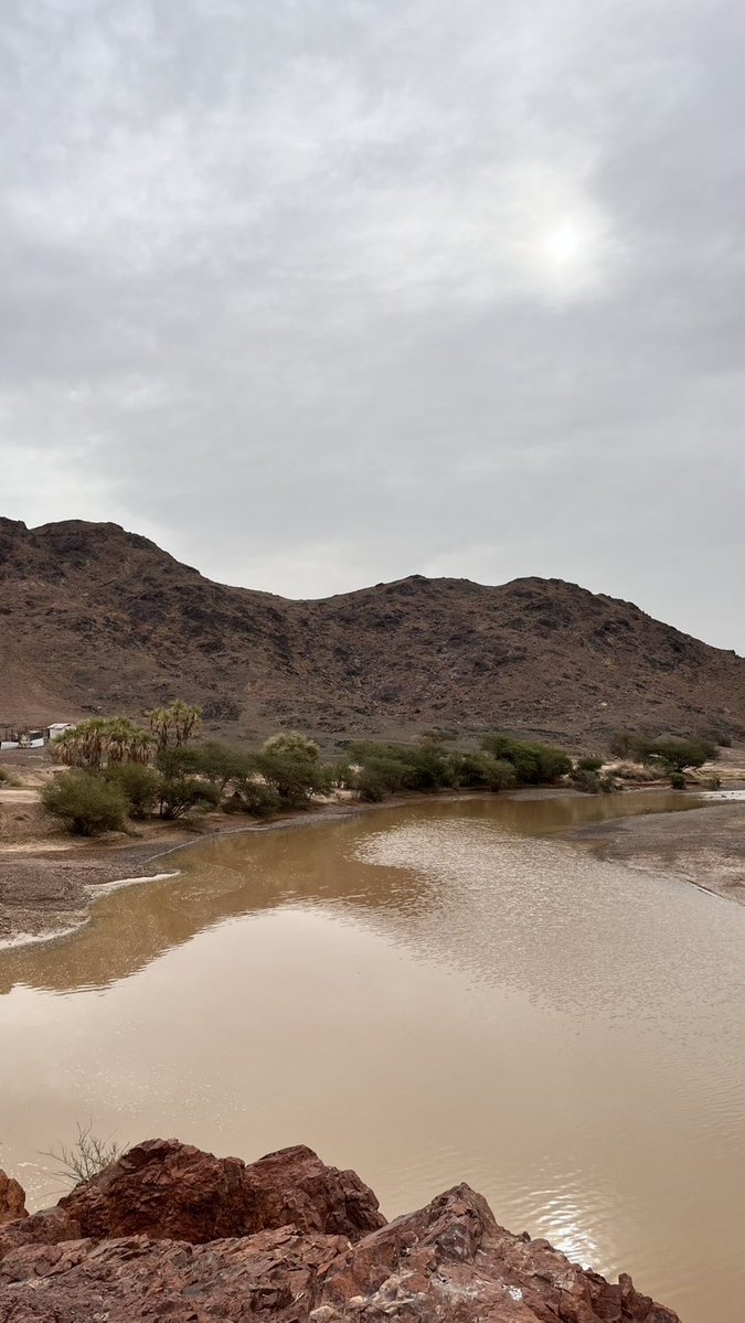 الكاتبة سعدى tweet media