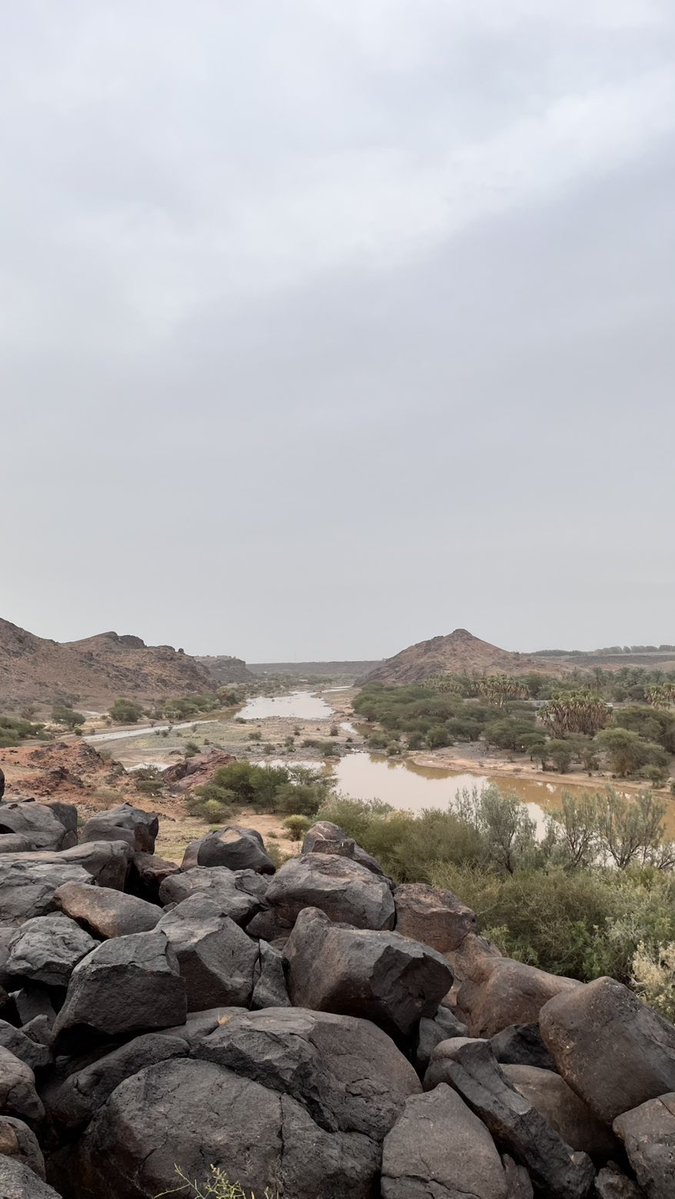 الكاتبة سعدى tweet media