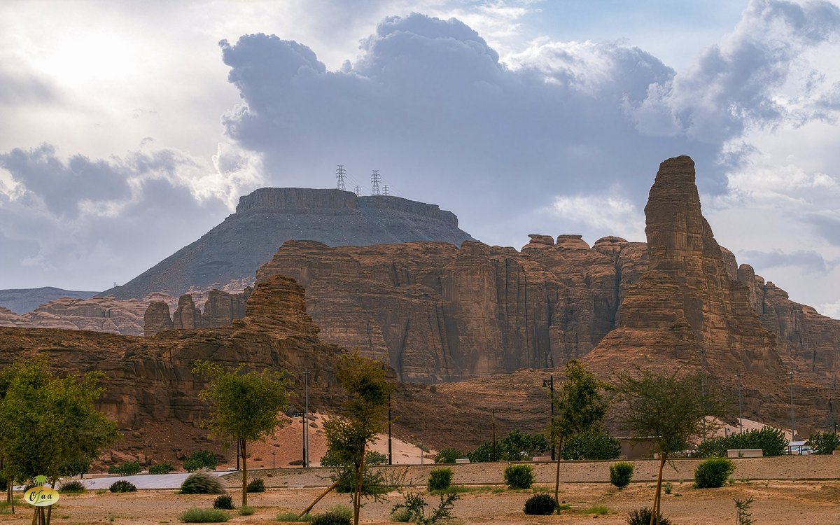 محمد بن أحمد الفريدي tweet media