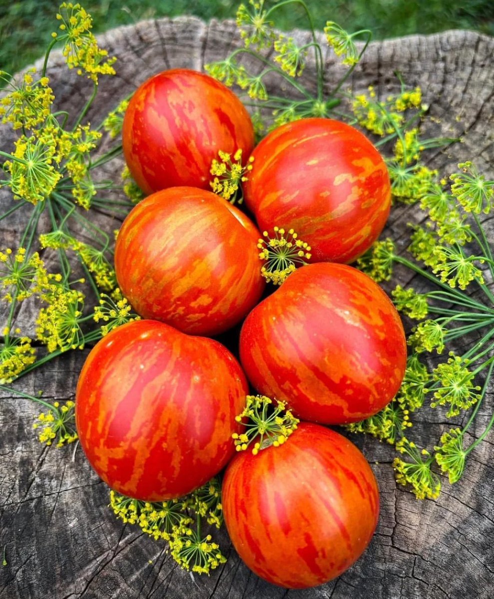 Andrew Swadener tweet media