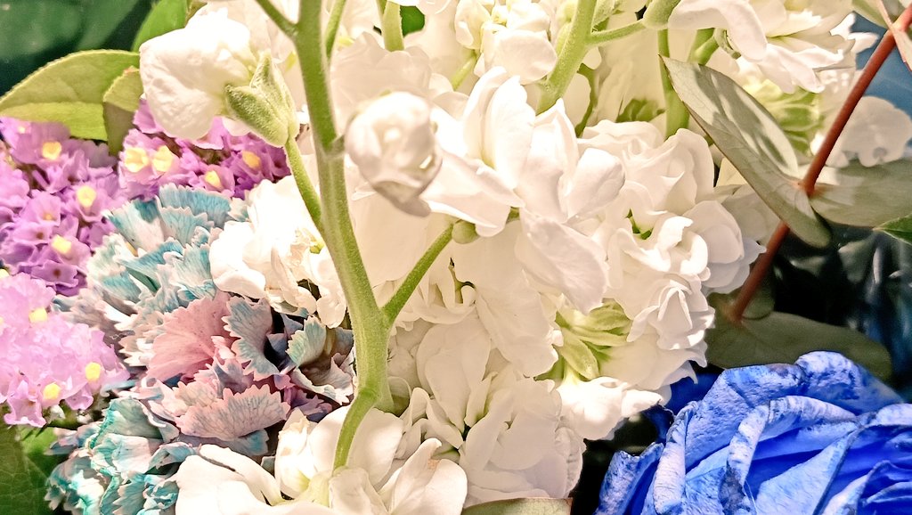 うめちゃん tweet media