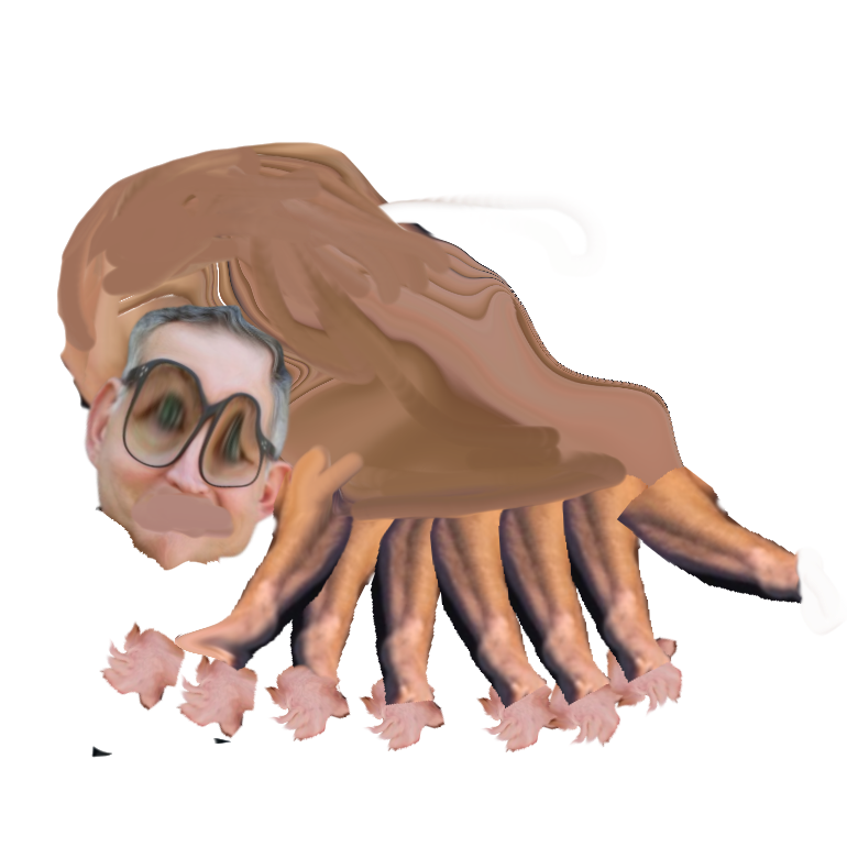 Sel 🏴‍☠️🏳️‍⚧️🏳️‍🌈🇨🇦🇮🇪🇬🇧🇳🇱🇫🇷🇩🇪🇧🇷 tweet media