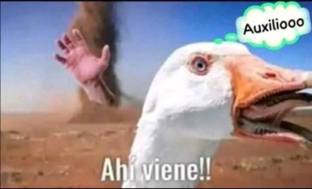 Hankover tweet media