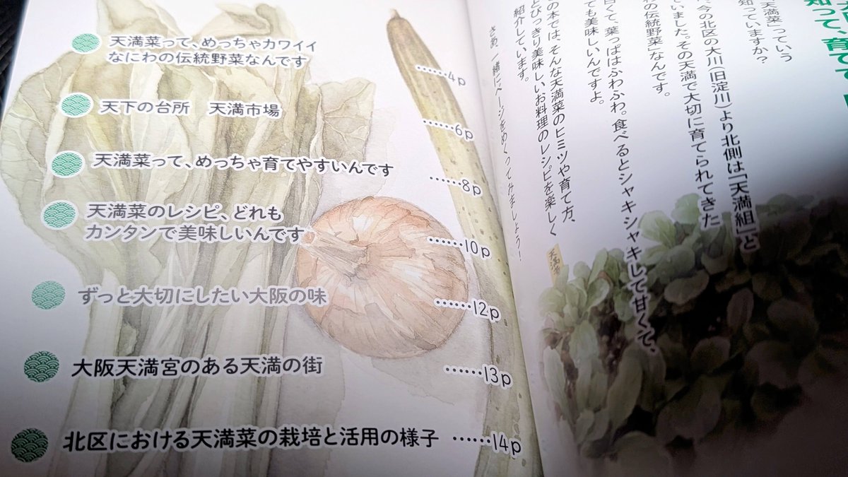 ~なにわの伝統野菜"天満菜"の紹介絵本~
『天満菜はん』を刷了し、無事に納品いたしました。
大阪・天満で江戸時代から栽培されてきた天満菜(大阪しろな)を題材にした、かわいい絵本漫画です。