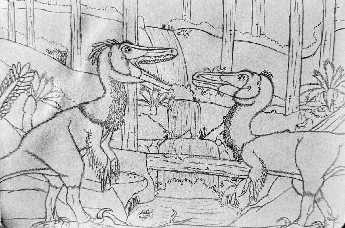 Funny Man tweet media