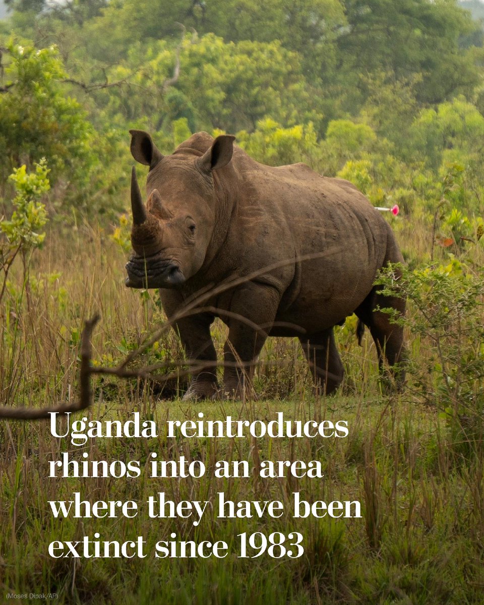 The Washington Post tweet media