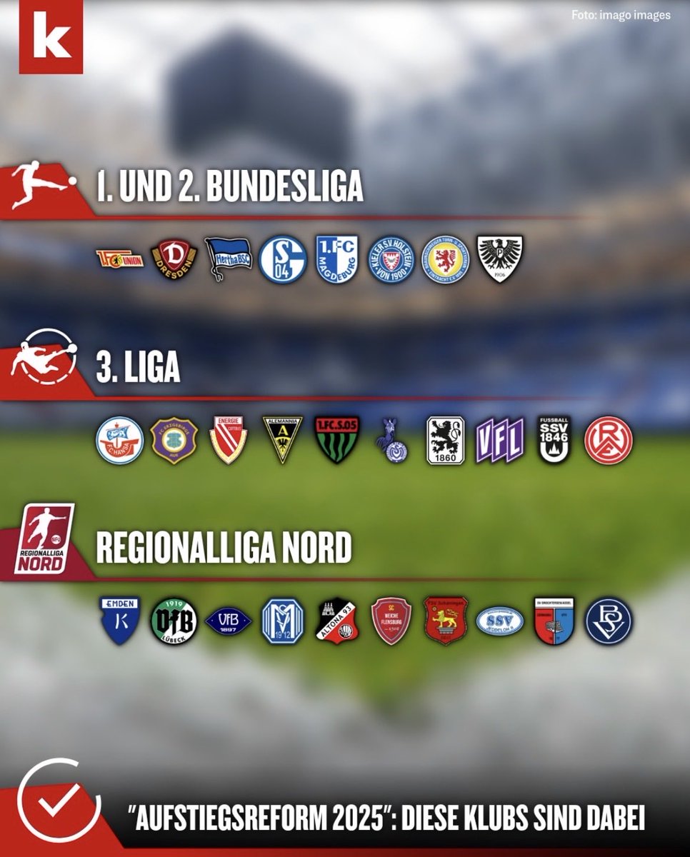 Cornelia🦥 tweet media