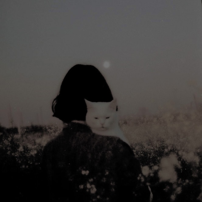 โ๐๐ธ๐พ๐๐๐. tweet media