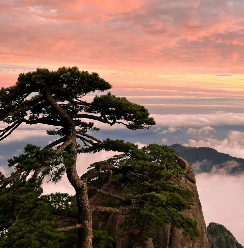 Brandon Maris tweet media